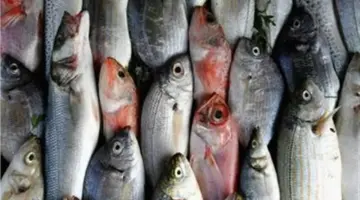 أسعار الأسماك في مطلع تعاملات اليوم الجمعة 3 أبريل 2026